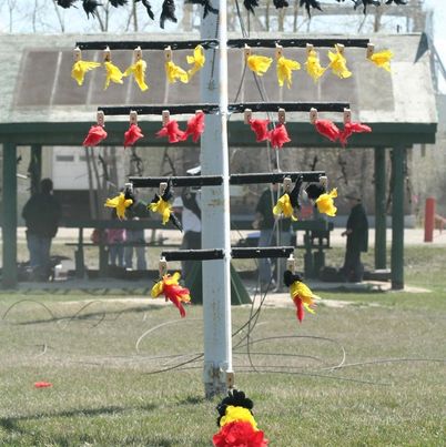 The fork at the top of the pole, loaded with colourful feathered birds